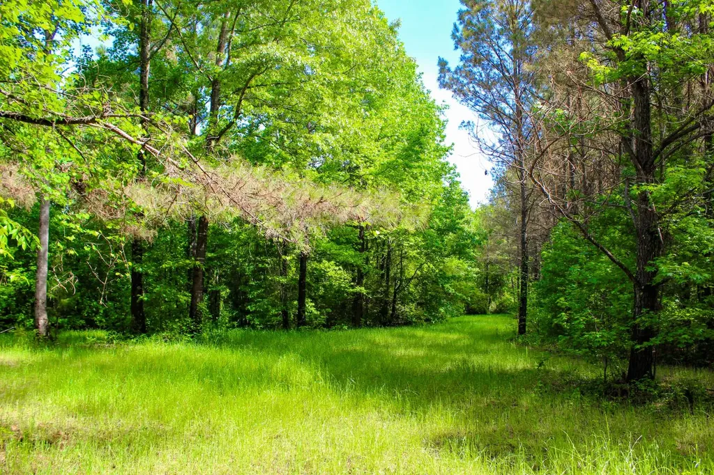 252 County Road 1 Hamilton AL 35570