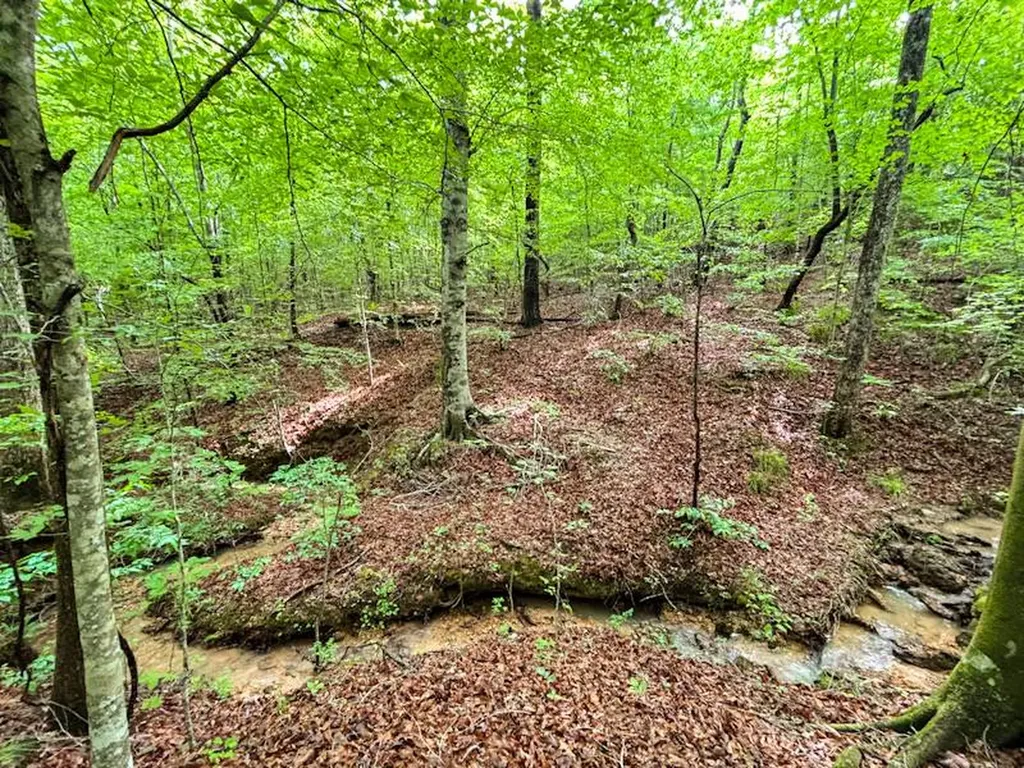 252 County Road 1 Hamilton AL 35570