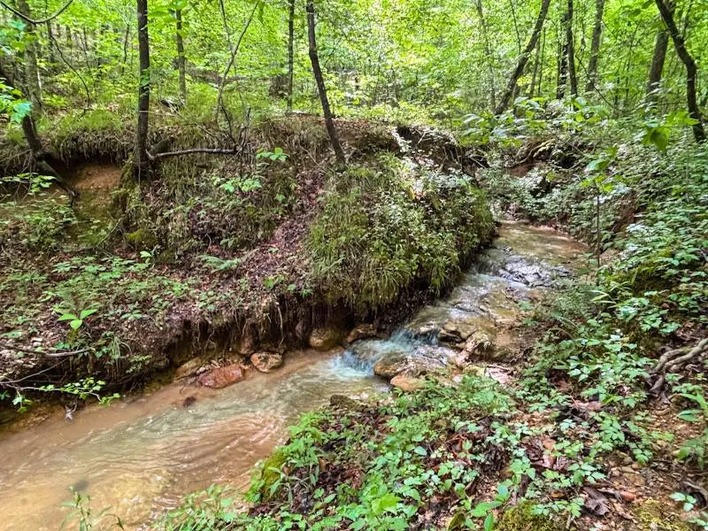252 County Road 1 Hamilton AL 35570