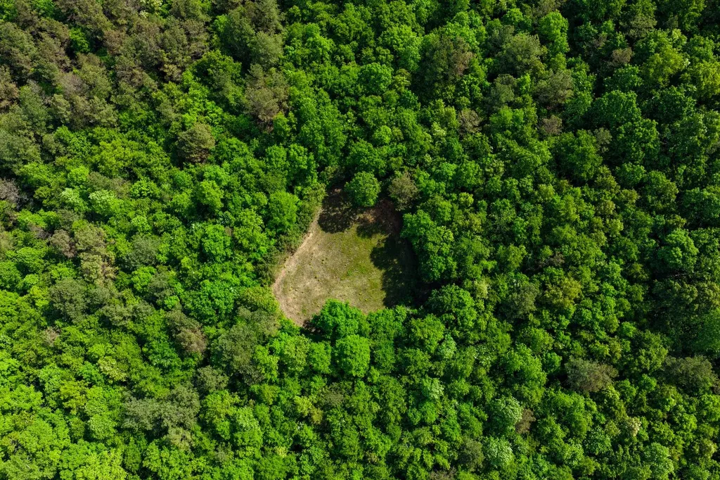 252 County Road 1 Hamilton AL 35570