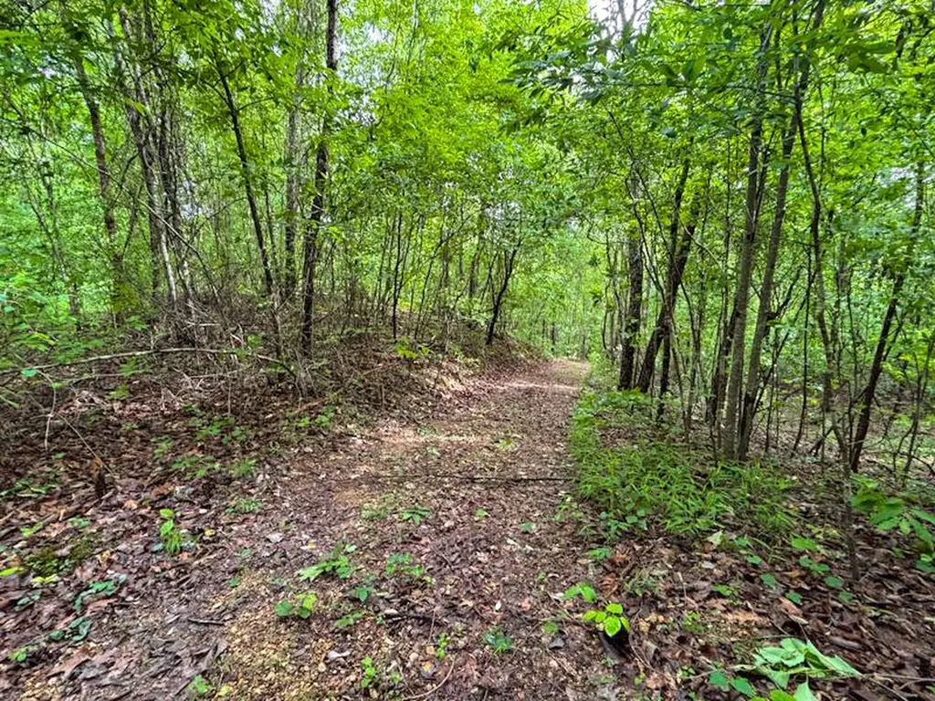 252 County Road 1 Hamilton AL 35570