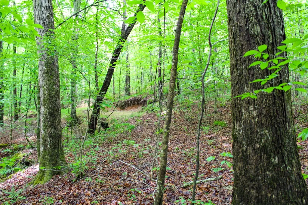 252 County Road 1 Hamilton AL 35570
