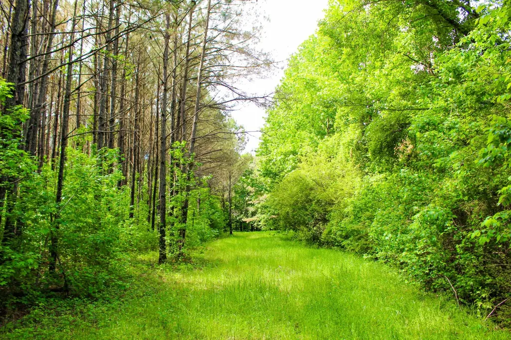 252 County Road 1 Hamilton AL 35570