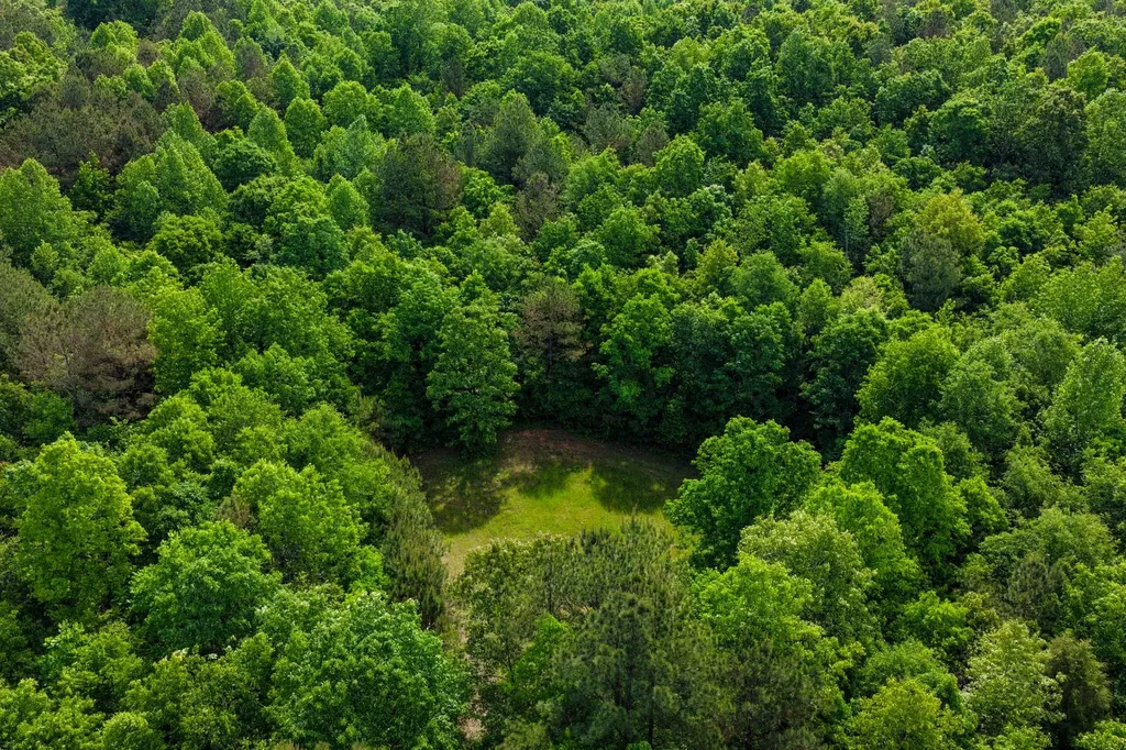252 County Road 1 Hamilton AL 35570