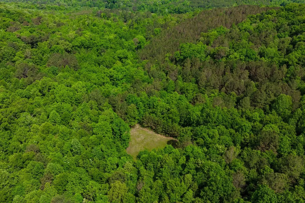 252 County Road 1 Hamilton AL 35570