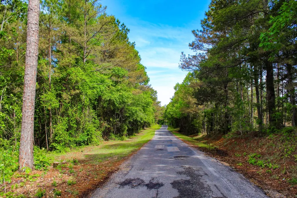 252 County Road 1 Hamilton AL 35570