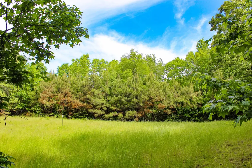 252 County Road 1 Hamilton AL 35570