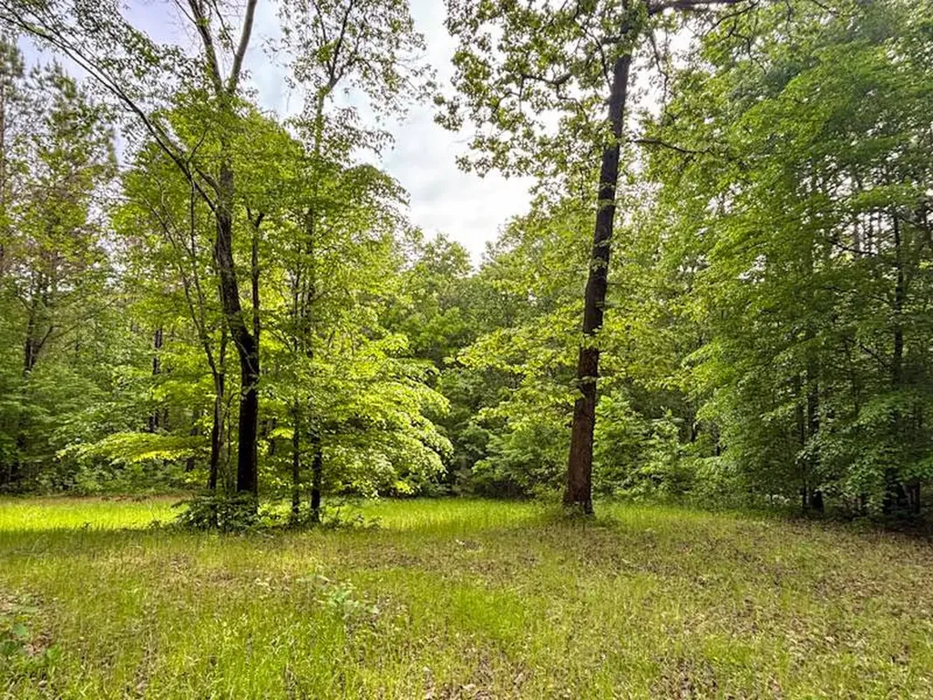 252 County Road 1 Hamilton AL 35570