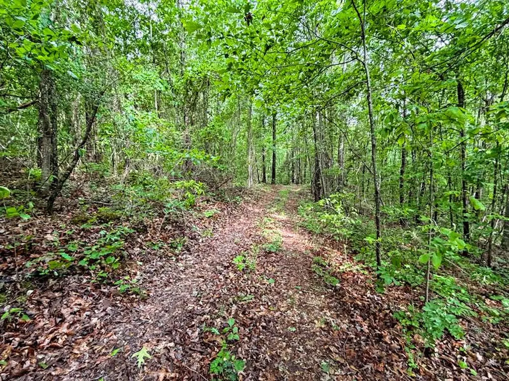 252 County Road 1 Hamilton AL 35570