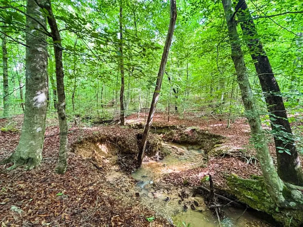 252 County Road 1 Hamilton AL 35570