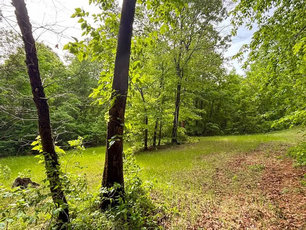 252 County Road 1 Hamilton AL 35570
