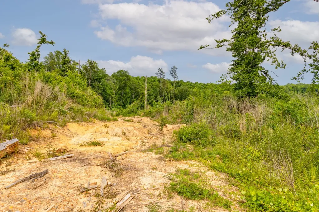0 Danville Road Hartselle AL 35640