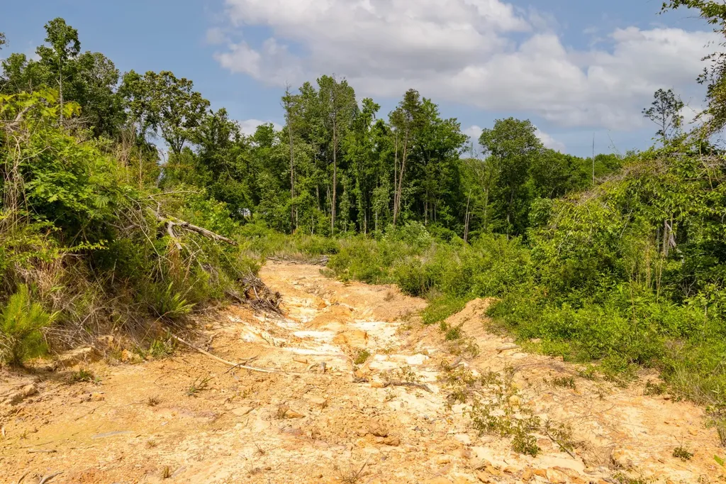 0 Danville Road Hartselle AL 35640