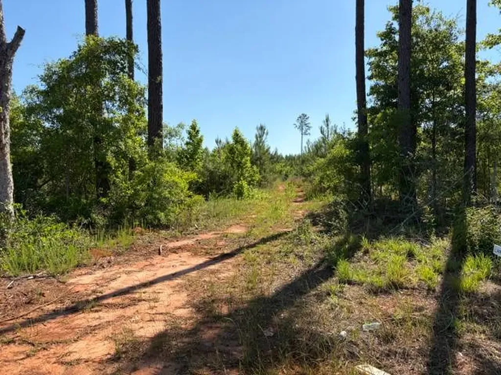 004 Rose Hill Road Andalusia AL 36028