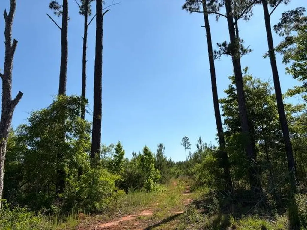 004 Rose Hill Road Andalusia AL 36028