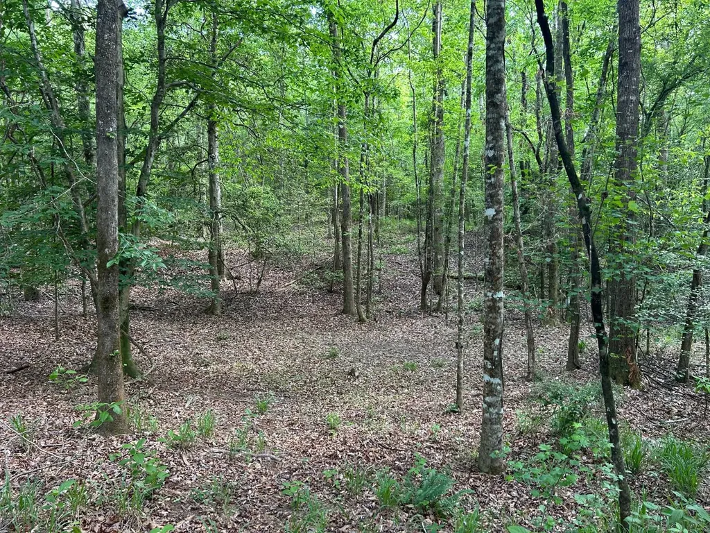 0 Highway 51 New Brocxkton AL 36351