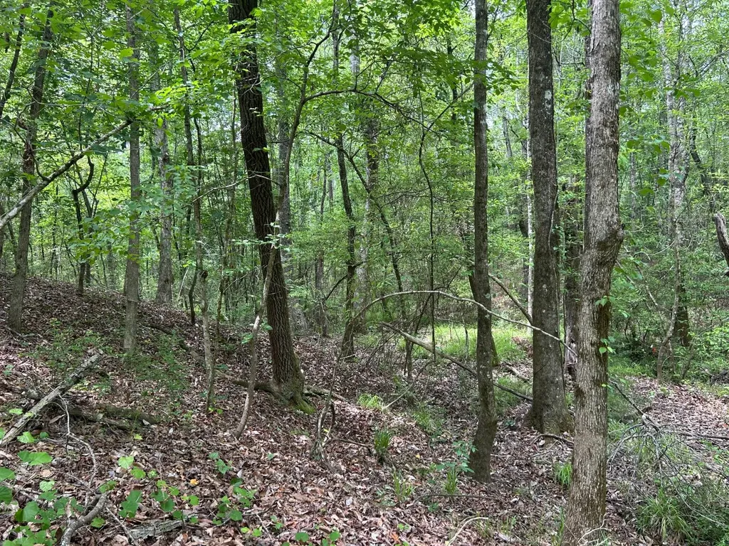 0 Highway 51 New Brocxkton AL 36351