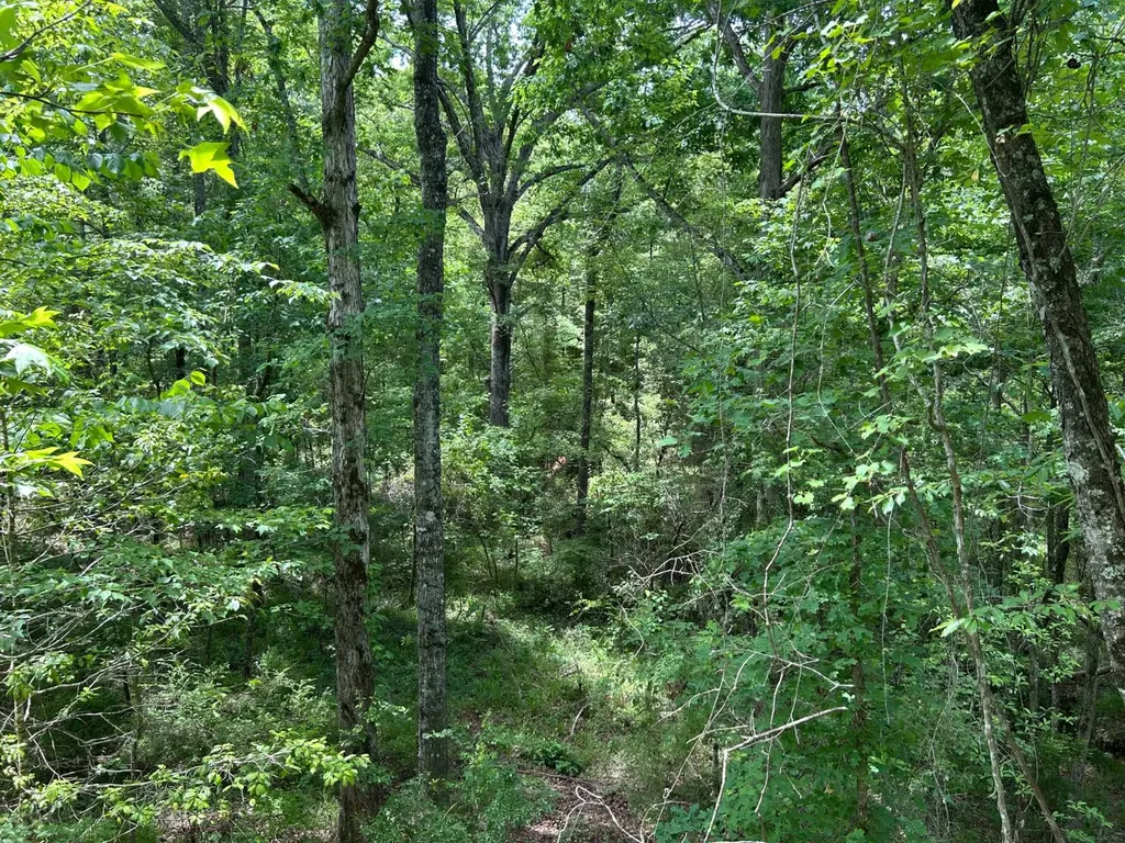 0 Highway 51 New Brocxkton AL 36351
