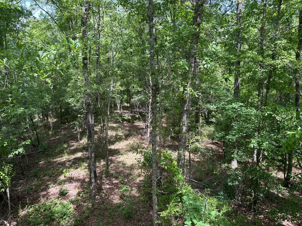 0 Highway 51 New Brocxkton AL 36351