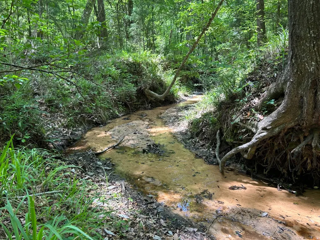 0 Highway 51 New Brocxkton AL 36351