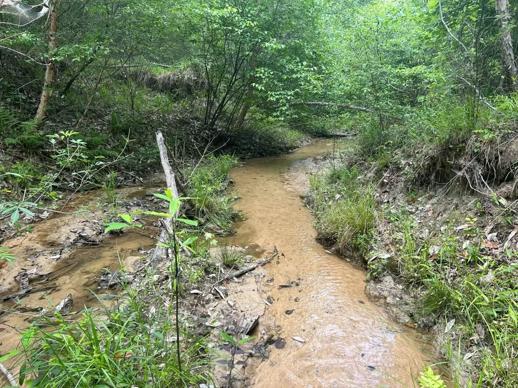 0 Highway 51 New Brocxkton AL 36351