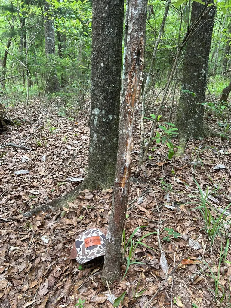 0 Highway 51 New Brocxkton AL 36351
