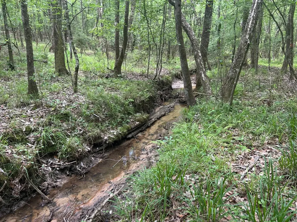 0 Highway 51 New Brocxkton AL 36351