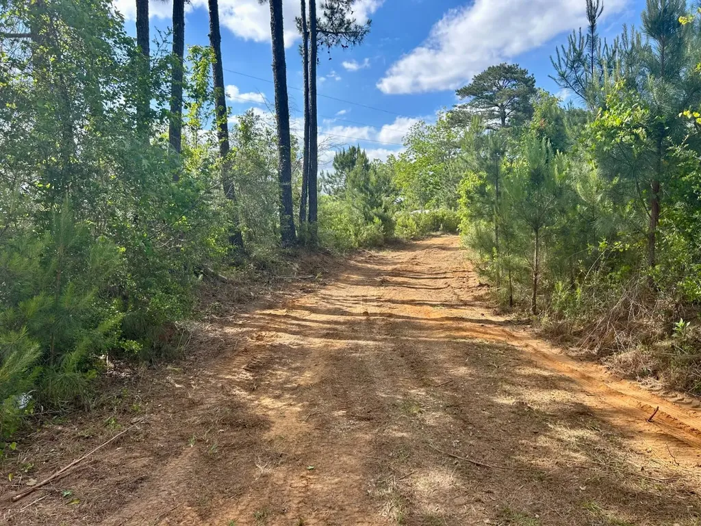 0 Highway 51 New Brocxkton AL 36351