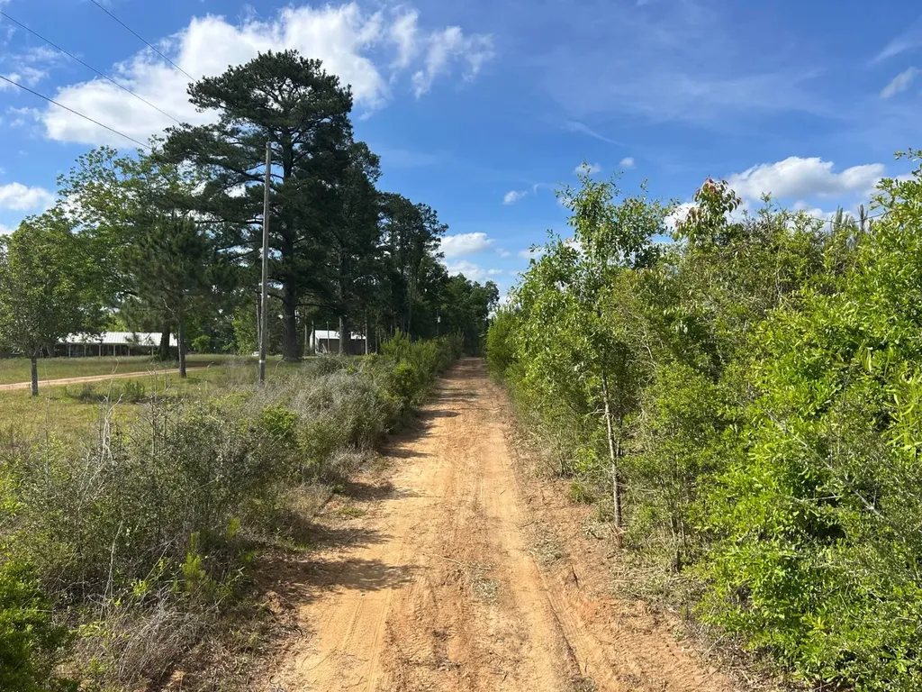 0 Highway 51 New Brocxkton AL 36351