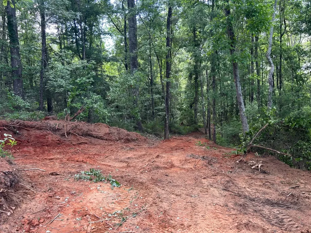0 Highway 51 New Brocxkton AL 36351