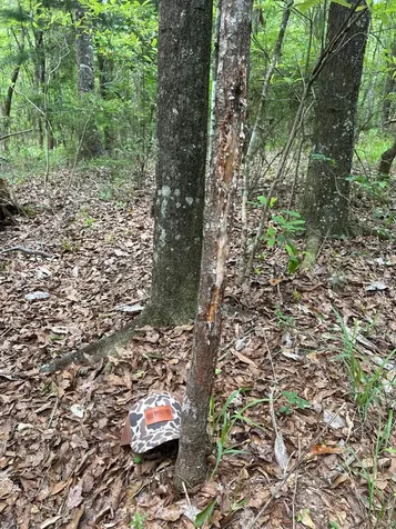 0 Highway 51 New Brocxkton AL 36351