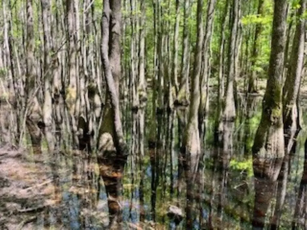 Approx. 9500 Us 80 W Marion Junction AL 36759