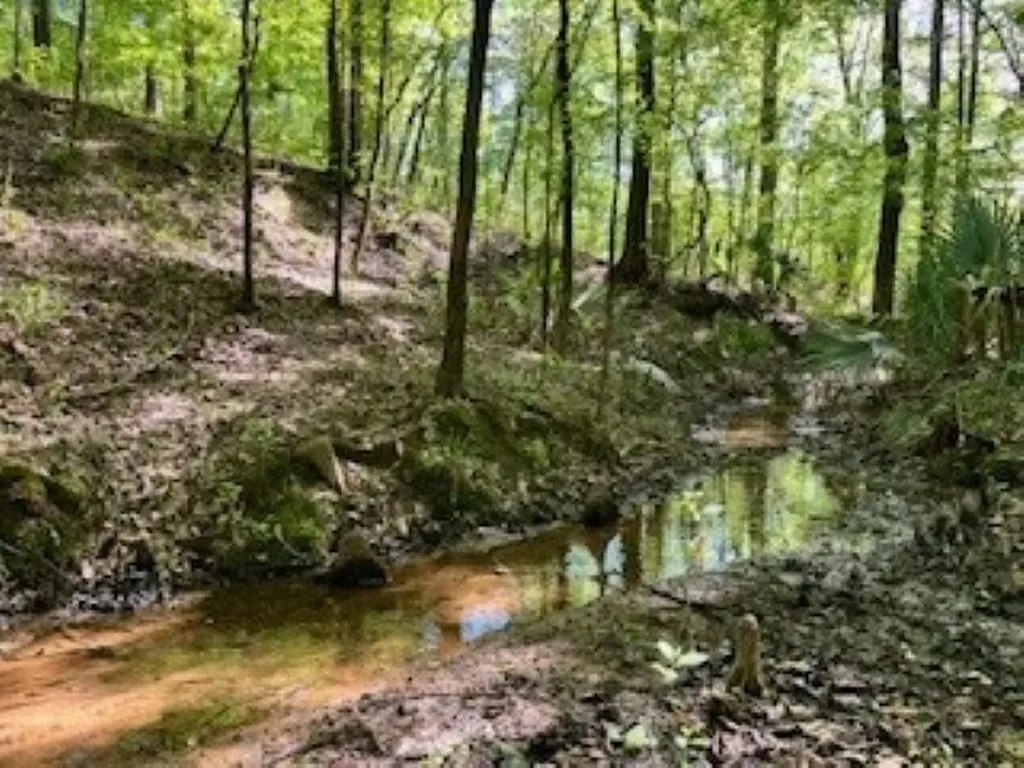 Approx. 9500 Us 80 W Marion Junction AL 36759