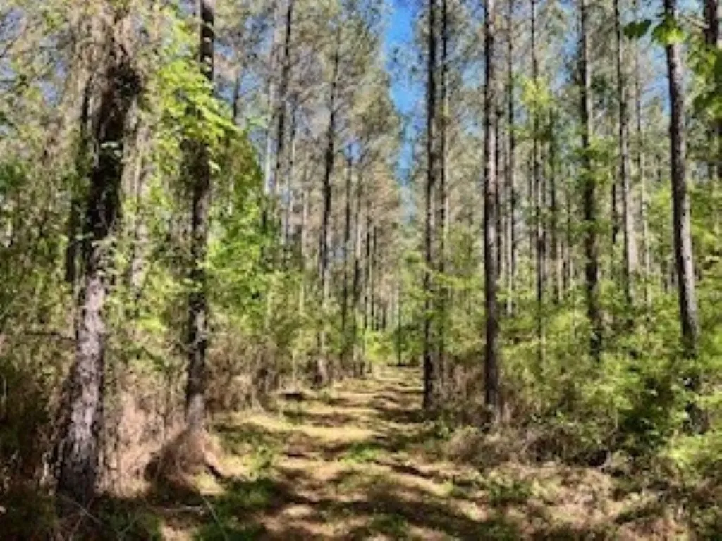 Approx. 9500 Us 80 W Marion Junction AL 36759