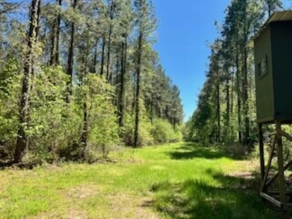 Approx. 9500 Us 80 W Marion Junction AL 36759