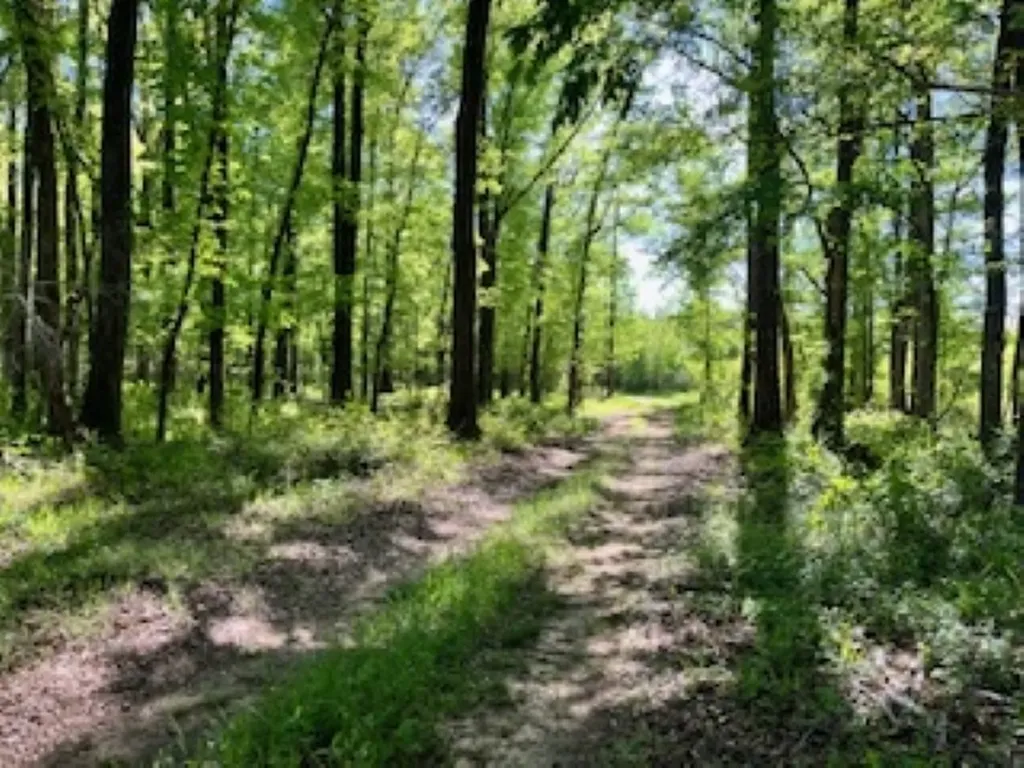 Approx. 9500 Us 80 W Marion Junction AL 36759