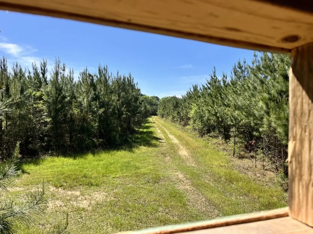 Approx. 9500 Us 80 W Marion Junction AL 36759