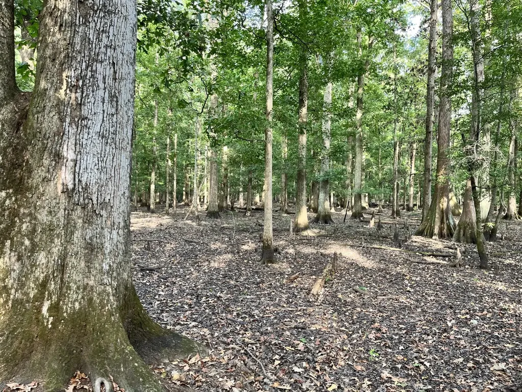 Approx. 9500 Us 80 W Marion Junction AL 36759