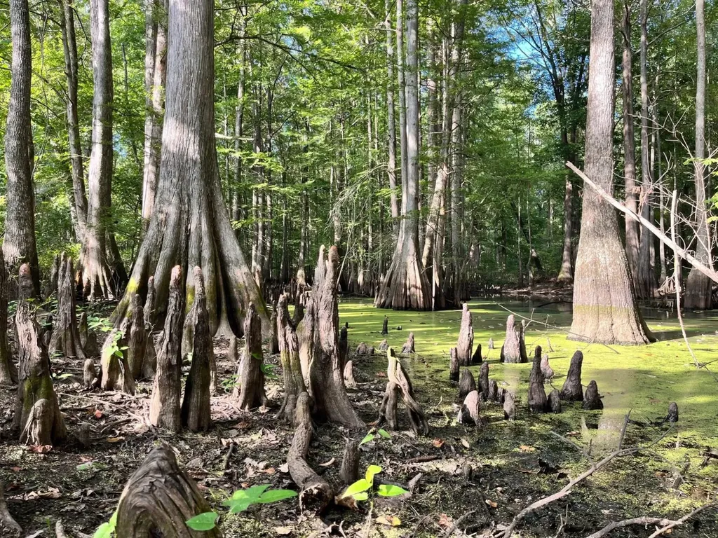 Approx. 9500 Us 80 W Marion Junction AL 36759