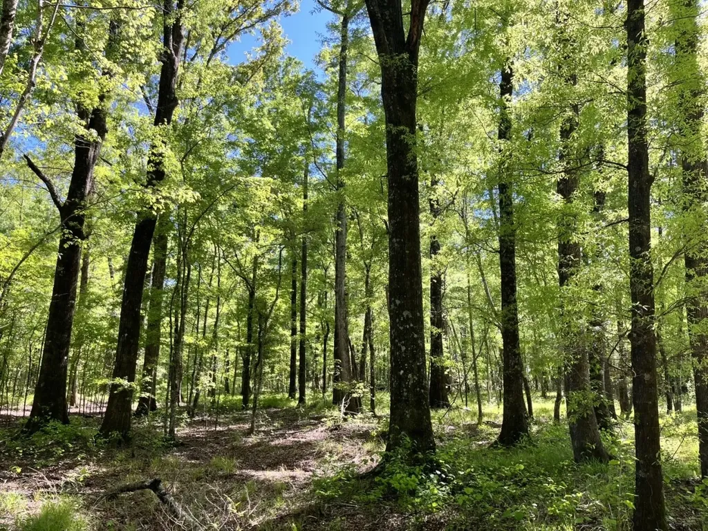 Approx. 9500 Us 80 W Marion Junction AL 36759