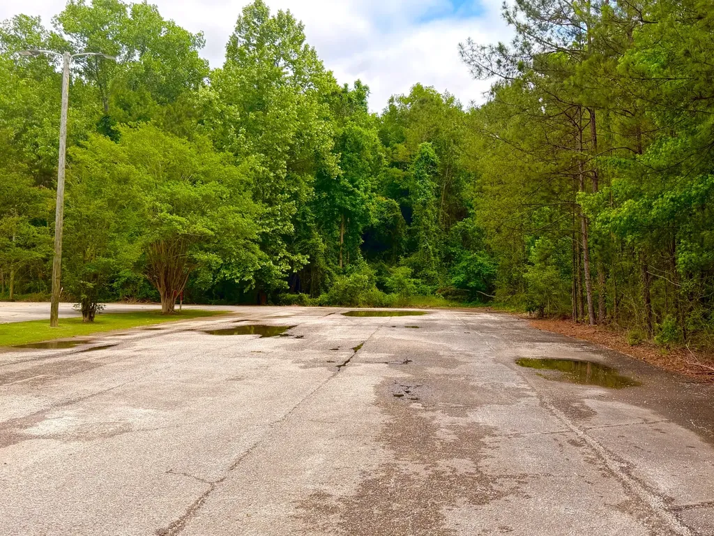 3100 Highway 43 S Jackson AL 36545