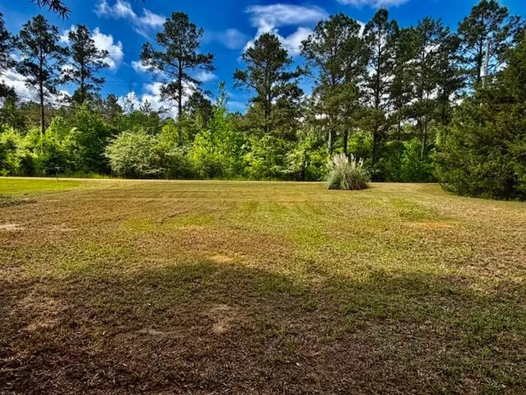 1775 Beach Road Camden AL 36726