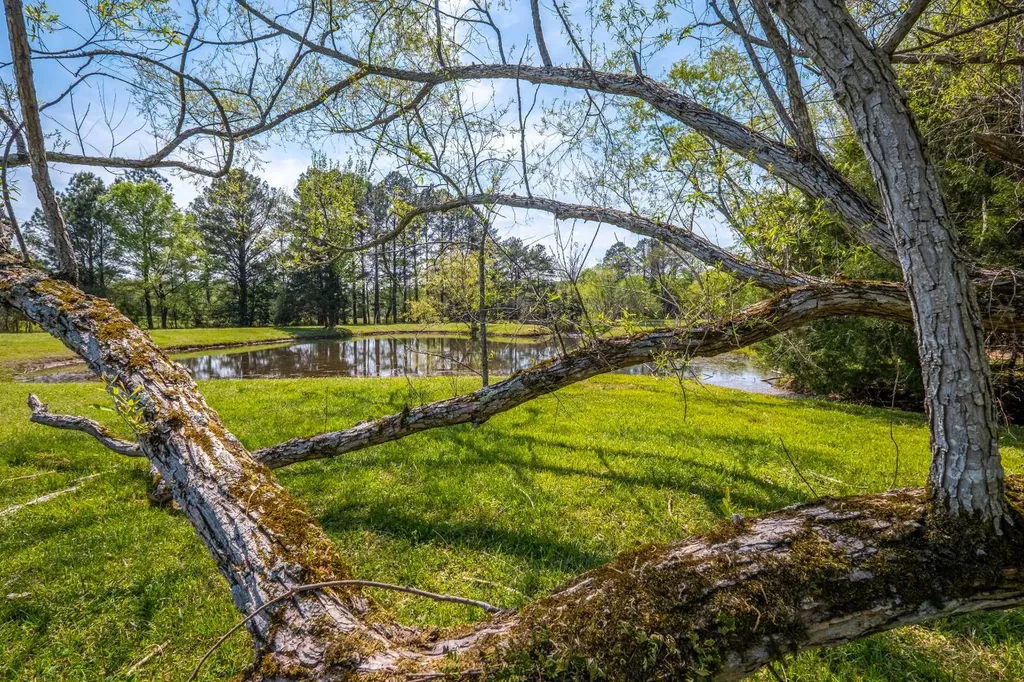 1265 Dogwood Lane Piedmont AL 36272