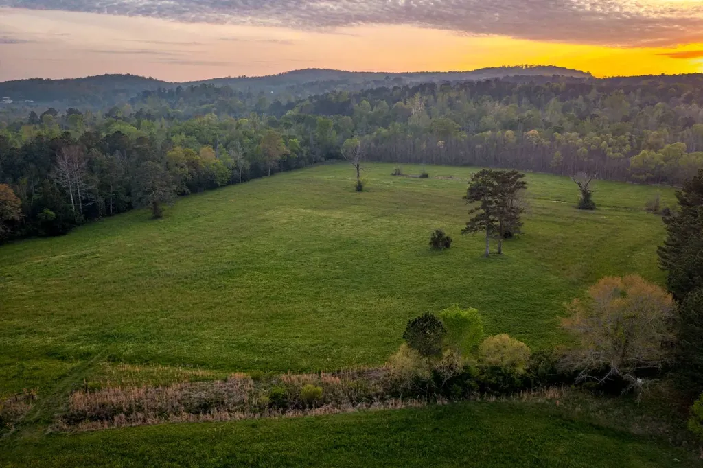 1265 Dogwood Lane Piedmont AL 36272