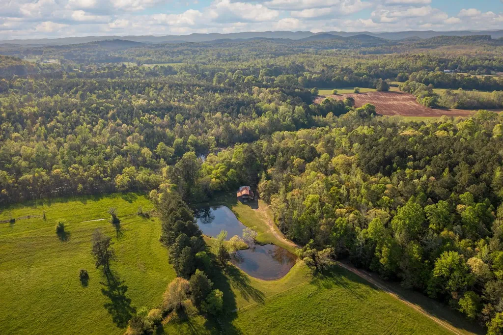 1265 Dogwood Lane Piedmont AL 36272