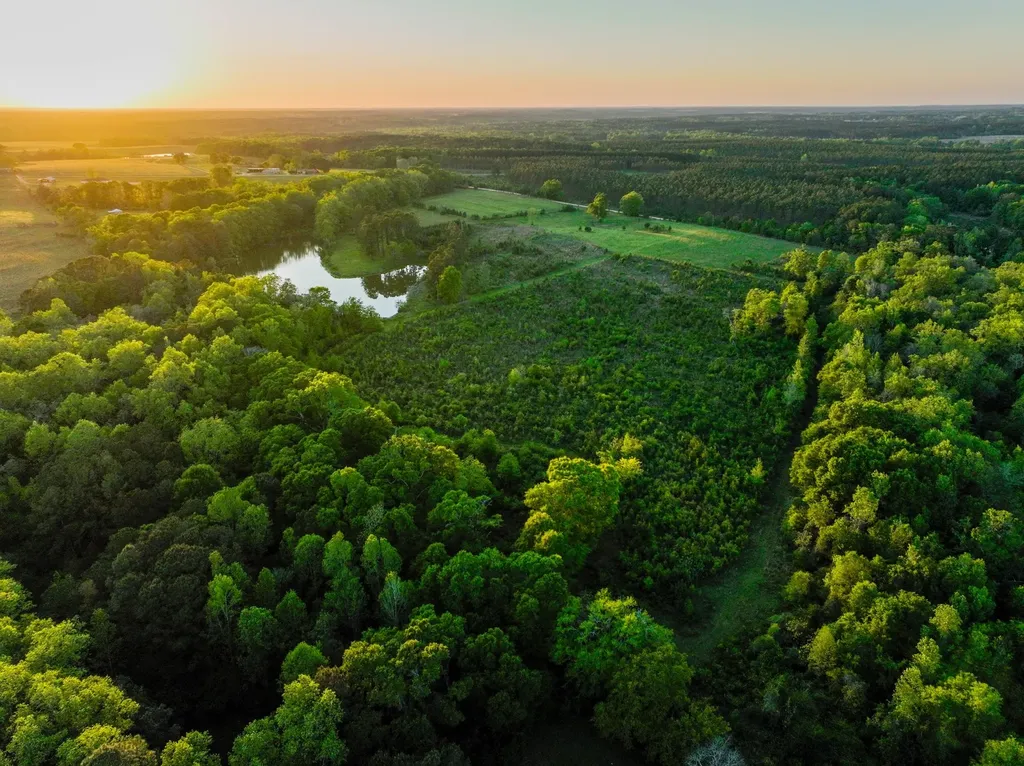 75+/- Acres County Road 625 Coffee Springs AL 36318