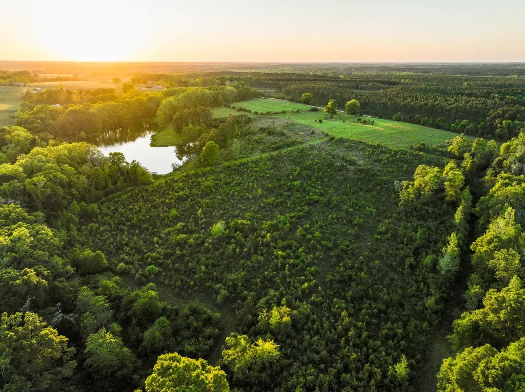 75+/- Acres County Road 625 Coffee Springs AL 36318