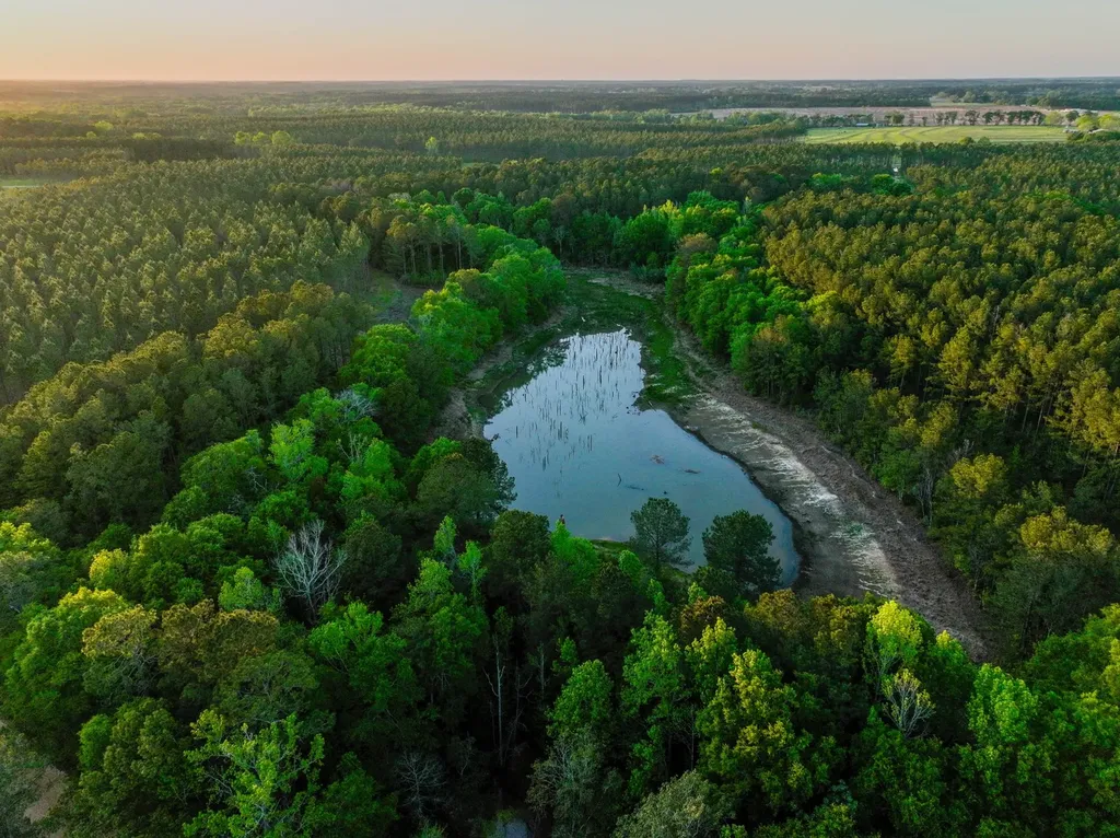 75+/- Acres County Road 625 Coffee Springs AL 36318