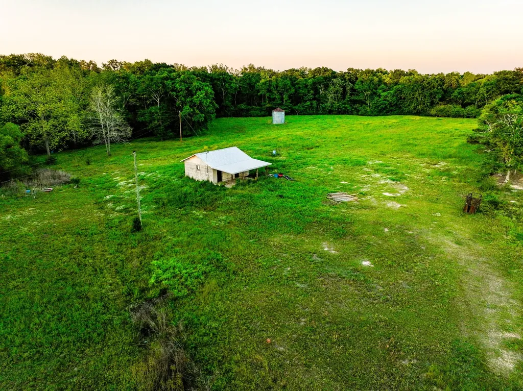 75+/- Acres County Road 625 Coffee Springs AL 36318
