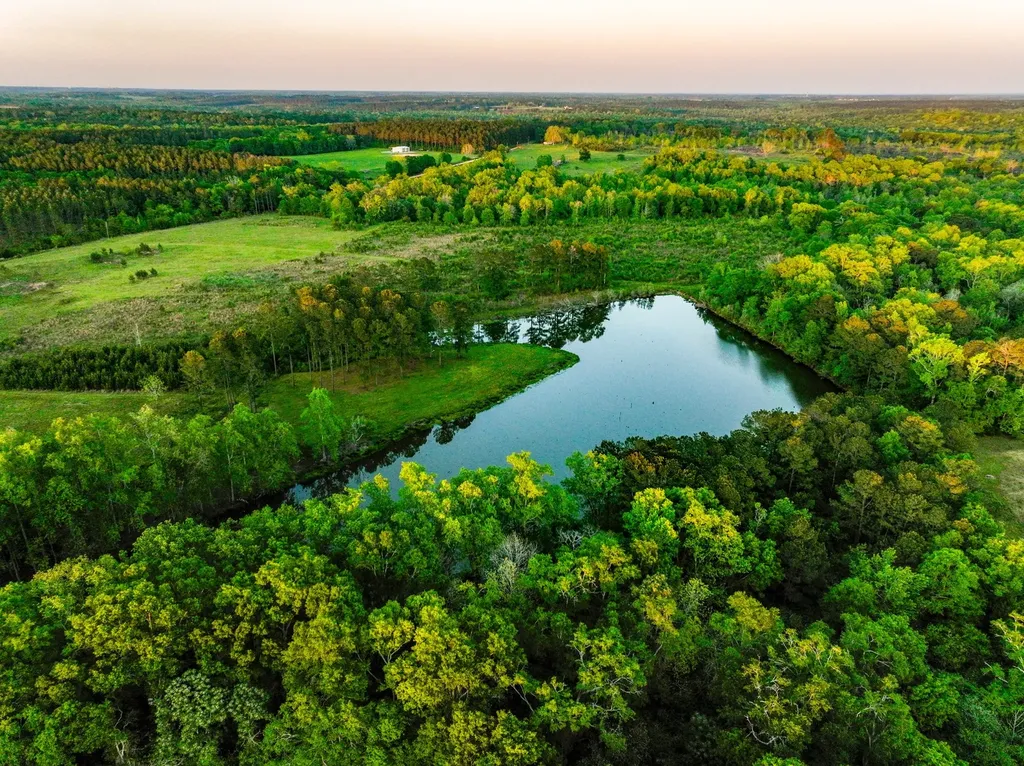 75+/- Acres County Road 625 Coffee Springs AL 36318